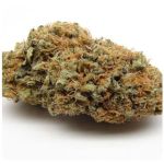 Шишки AK47 (Гидропоника, Бошка) VHQ в Ленинске-Кузнецком Шишки AK47 (Гидропоника, Бошка) VHQ в Ленинске-Кузнецком