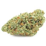Шишки OG Kush (Гидропоника, бошки) VHQ в Ленинске-Кузнецком Шишки OG Kush (Гидропоника, бошки) VHQ в Ленинске-Кузнецком
